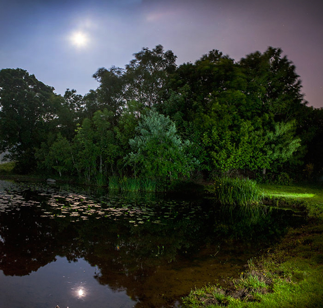 foto della galleria immagini di fausto argomento: Notte di luna piena